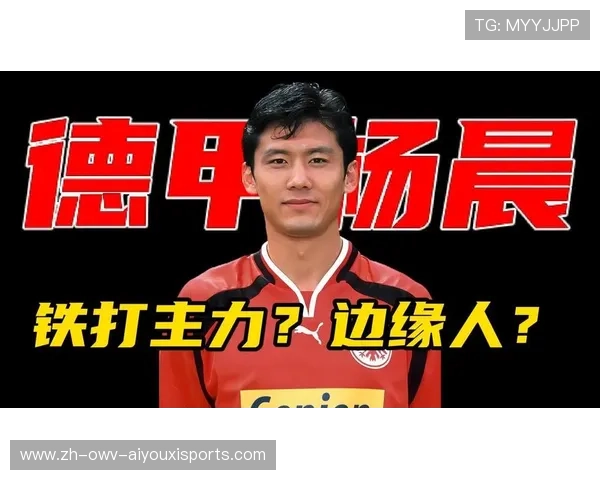 回顾杨晨效力德甲期间的所有俱乐部与表现评分